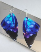 Kolczyki Motyle dwustronne Skrzydła niebieski granatowy fioletowy czarny 