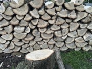 Dąb suchy do wędzenia kominka kozy 24kg +-25cm długości MEGA PROMOCJA!!!