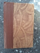 Maria Radziewiczówna Jerychonka powieść wydanie czwarte Lwów 1920r.