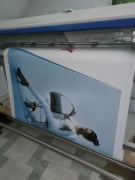 Baner 1m2 - Twój projekt lub Prosty GRATIS! Druk w 24H