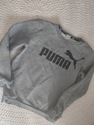 Puma bluza chłopięca r.164