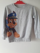 bluza dresowa cool club 110 chase psi patrol paw bez kaptura ocieplana 