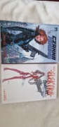 Komiksy Czarna Wdowa Powrót do domu i Elektra Assassin.
