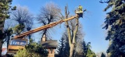 Usługa podnośnikiem koszowym 