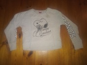 krótka bluza dziewczęca 146 Peanuts pies Next szara