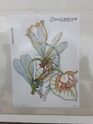 Somalia 2003  Mi ???  Owady ważka blok idealna pozycja 