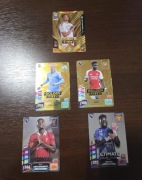 Karty Panini Golden Baller i Ultimate