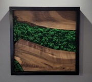 Żywy Obraz Ręcznie Wykonany, Mech, Drewno Orzechowe, prezent, handmade