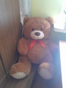 Pluszak Mis 80cm duży 