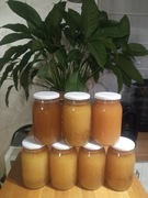 Miód wielokwiatowy z rodzinnej pasieki