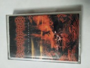Winds Of Creation Decapitated Kaseta