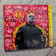 Peja slums attack To Szpyndrulec Tejp od Richmonda tej