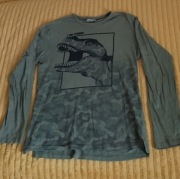 Bluza dla chłopca, 146-152, Destination