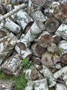 Drewno kominkowe opałowe kominka brzoza 10kg 40L kawałki wysyłka suche