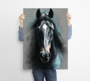 Czarny koń - grafika na plakacie na A3