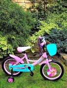 Rower Frozen 16 cali 