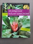 Jak pielęgnować rośliny doniczkowe choroby i szkodniki Gabriel Łabanowski