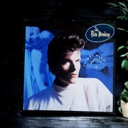 The Blow Monkeys Animal Magic 1986 VG Vinyl LP 12