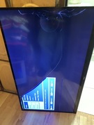 Tv telewizor nec 42 LCD display E424