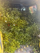 Stroiki świąteczne, jemioła duża i mała