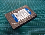 Dysk HDD 1TB 3,5" WD SATA III