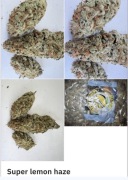 30% Susz THc CBG CBD ganja buch marihuana legalna konopia