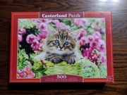 Puzzle Castorland 500 el. Kitten in flower garden Kotek B-52974 (-1) 