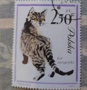 Znaczek pocztowy kot europejski