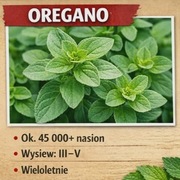 Nasiona oregano 5g | zioło wieloletnie do pizzy ogrodu doniczki