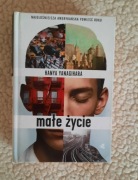 Małe życie - Hanya Yanagihara