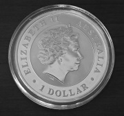 Srebrna Moneta Koala 2013 | 1 oz Ag 999