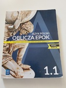 Podręcznik do j.polskiego Oblicza epok 1.1 Wsip 