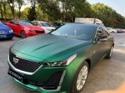 Matowa folia winylowa Venom Green Car Folia