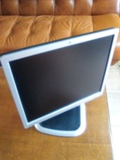 monitor HP 19 cali