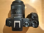 Canon EOS R8 + RF 24-50mm