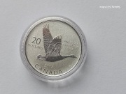 20 DOLARÓW GĘŚ KANADYJSKA 