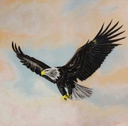 Duży obraz orzeł w locie akryl na płótnie Freedom 90x90