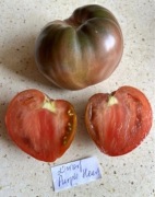 Zestaw nasion pomidor dwarf w 3 kolorach kolekcjonerskich