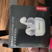 Lenovo thinkplus LivePods LP40