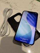 Apple iPhone 13 pro 256 100%