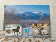 Zakopane - 3 widoków herb (10)