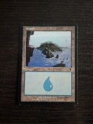 Island. Magic The Gathering 