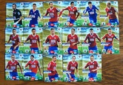 Ekstraklasa 2013 / 2014 komplet 17 kart Piast Gliwice