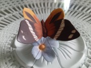 Porcelanowy motyl Franklin 