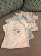 3 Body krótki rękaw 74 Sinsay