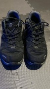Lowa Innox Evo Gtx Lo Gore-Tex 42,5