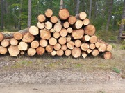 Drewno opałowe Liściaste/Iglaste w dobrej cenie 