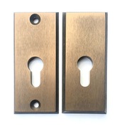 Szyld dodatkowy antywłamaniowy w kolorze starego złota F4