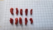 Koral Szlachetny z otworkiem - zestaw 10 szt #E