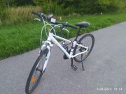 Rower Kross Evado Junior 1.0